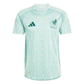 Mexico  2024 Away Jersey - Copa America